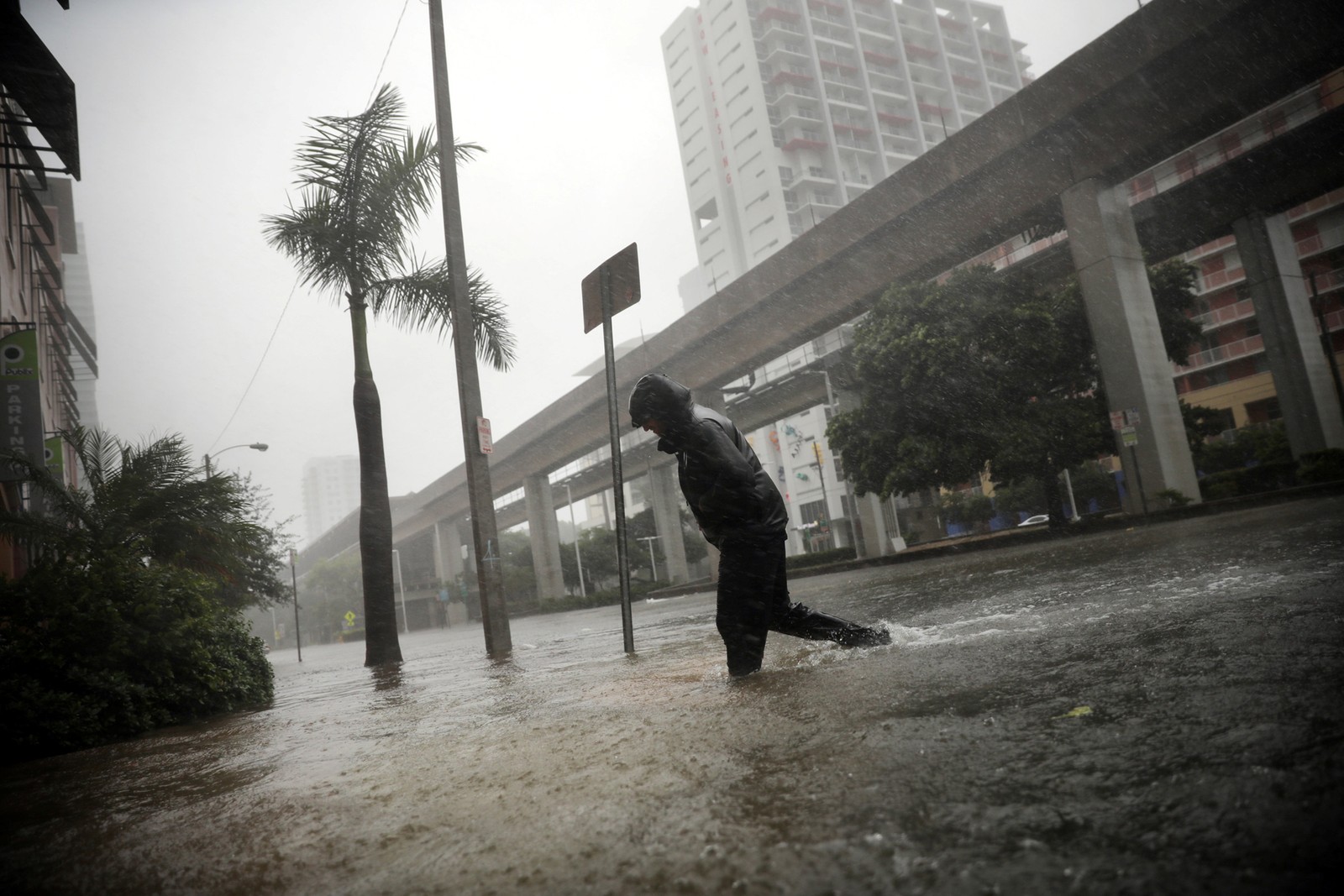 Morador atravessando rua inundada em Miami - Foto: Carlos Barria/Reuters)